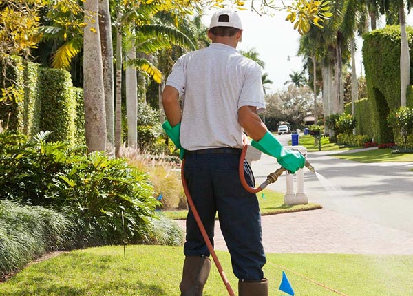 About Quenemo KS Pest Control